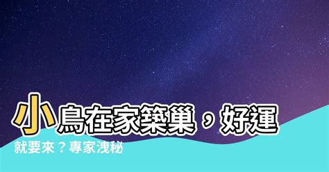 小鳥在家築巢|【小鳥築巢在家】小鳥築巢我家！好兆頭？還是另有玄機？